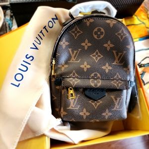 Louis Vuitton Palm Springs Mini Monogram